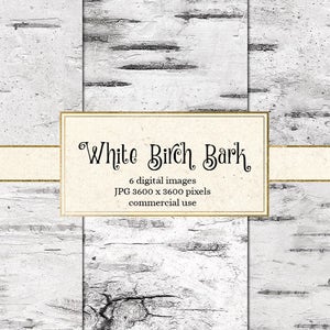 Weiße Birkenrinde digitales Papier - Birkenbaum Hintergründe, weiße Holz Texturen, Hochzeitspapier, Hochzeitshintergründe, digitales Scrapbookpapier