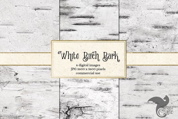 Note Set Series Ivory White Scrapbook Paper Pack - Creative Projects and  Personalized Decorations