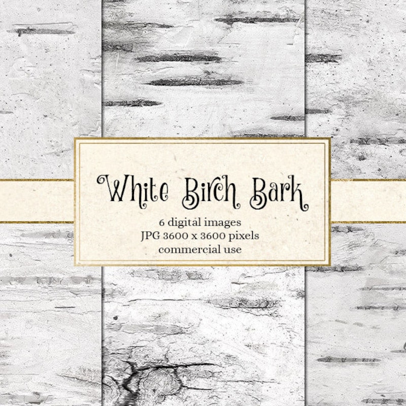 Birch Bark Paper - Etsy