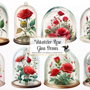 Watercolor Rose Glass Domes Clipart - watercolor flower fantasy PNG format instant download for commercial use