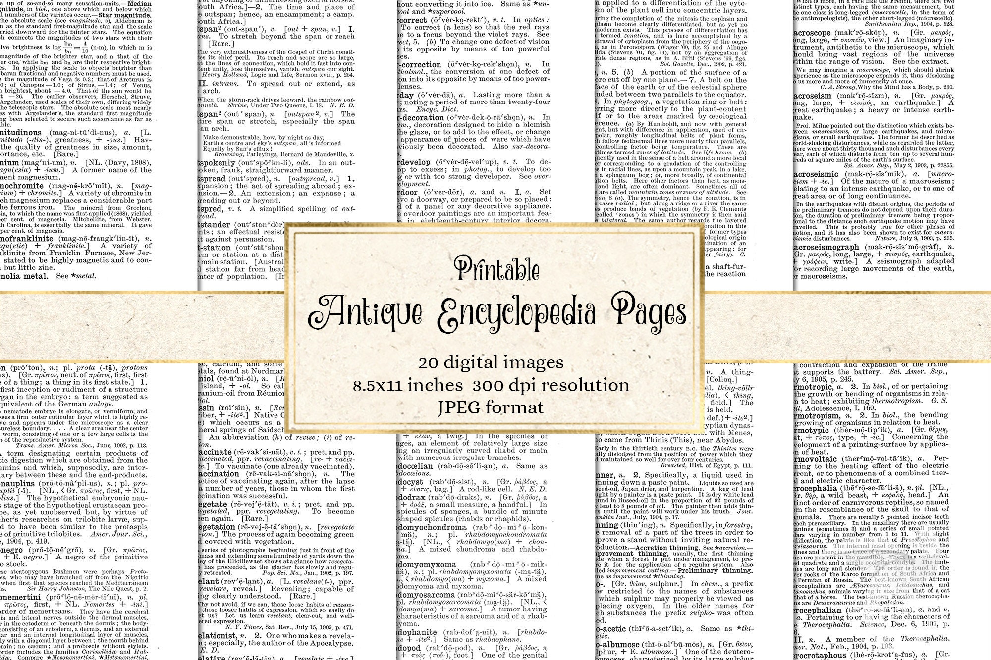 Antique Encyclopedia Pages - Digital Backgrounds of Vintage