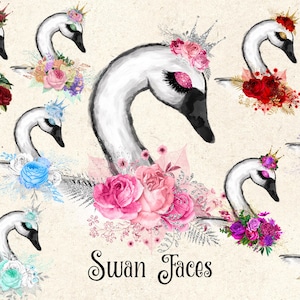 Swan Faces Clipart, zwaan clipart, mooie zwaan ogen illustraties, bloemen zwanen, pastelkleuren, mooie wimpers, glitter zwaan aquarellen