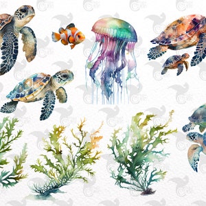 May include: Watercolor illustrations of marine life including sea turtles, a clownfish, a jellyfish, and seaweed. The turtles have brown, green, and blue shells. The jellyfish is a mix of purple, green, and blue. The seaweed is green and brown.