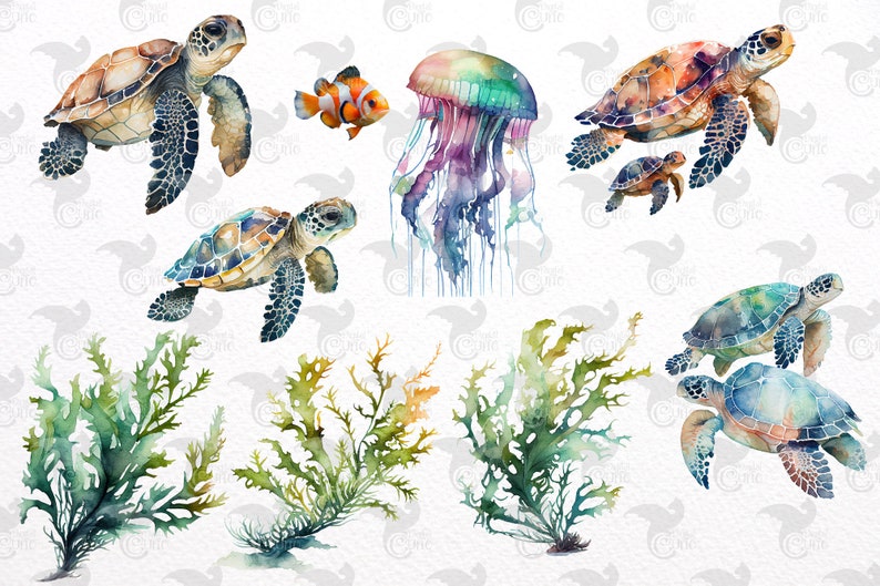 May include: Watercolor illustrations of marine life including sea turtles, a clownfish, a jellyfish, and seaweed. The turtles have brown, green, and blue shells. The jellyfish is a mix of purple, green, and blue. The seaweed is green and brown.