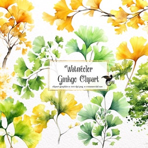 Acuarela Ginkgo Clipart - imágenes prediseñadas de hoja de ginkgo biloba en formato PNG descarga instantánea para uso comercial