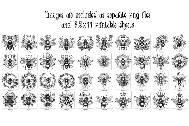 Honey Bee Line Art Clipart – Commercial Use Graphics (digital Download ...