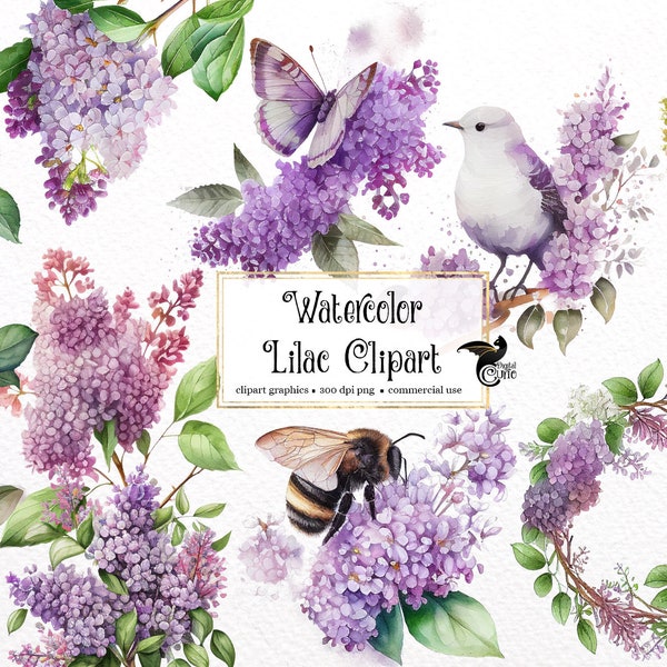 Watercolor Lilac Clipart - floral PNG format instant download for commercial use