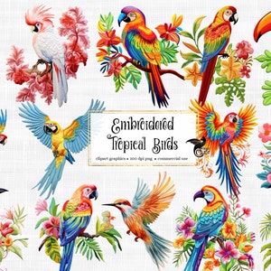 Clipart di uccelli tropicali ricamati - simpatico pappagallo ricamato e fenicottero download immediato in formato PNG per uso commerciale