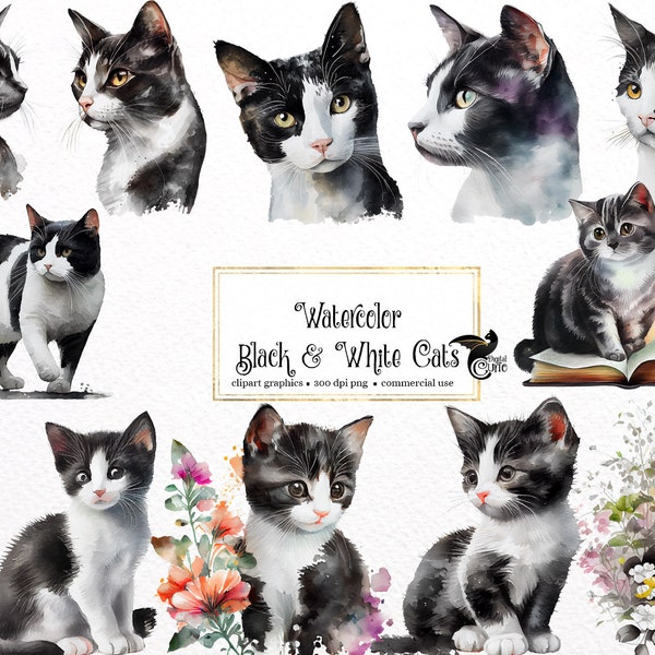 Watercolor Black and White Cats Clipart - cute floral cats and kittens with wildflowers PNG format instant download for commercial use