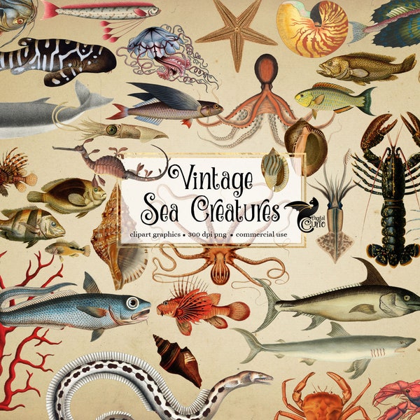 Vintage Sea Creatures Clipart - ilustraciones antiguas de peces y vida marina náutica en formato png descarga instantánea para uso comercial