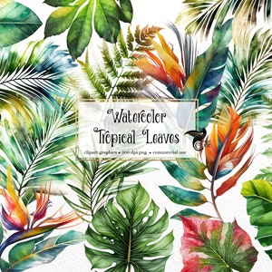 May include: Watercolor illustration of tropical leaves in various shades of green, red, orange, and yellow. The leaves are arranged in a random pattern and are set against a white background. The text "Watercolor Tropical Leaves" is displayed in a gold frame.