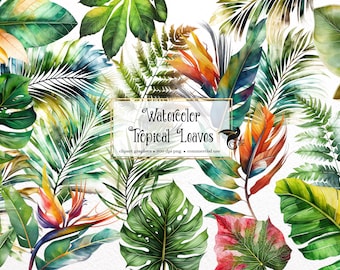 Aquarell tropische Blätter Clipart, tropisches Blatt PNG Clip Art Grafiken sofortiger Download für kommerzielle Nutzung