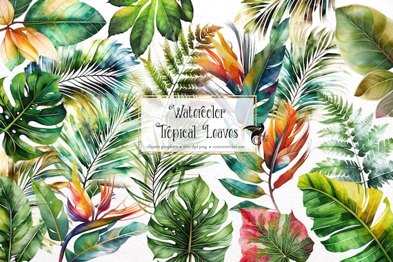 Watercolor Tropical Leaf Clipart, PNG Graphics (Digital Download)
