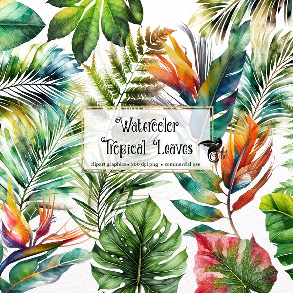 Watercolor Tropical Leaves Clipart, tropical leaf PNG clip art graphics instant download for commercial use