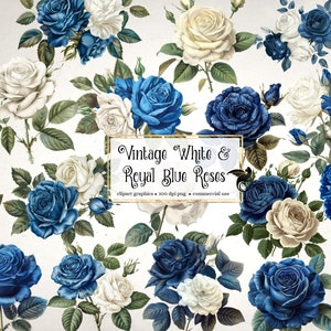 Vintage witte en koningsblauwe rozen - antieke rustieke roos illustraties PNG instant download voor commercieel gebruik