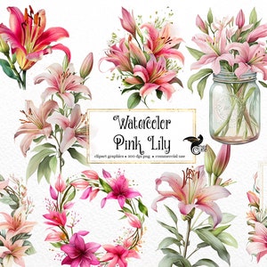 Aquarela Pink Lily Clipart - lírios em formato PNG download instantâneo para uso comercial