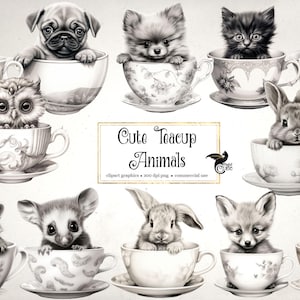 Cute Teacup Animals Clipart - cute baby animals with teacups in PNG format for commercial use