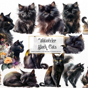Aquarell schwarze Katzen Clipart - niedliche Blumen Katzen und Kätzchen mit Wildblumen PNG-Format sofortiger Download für kommerzielle Nutzung