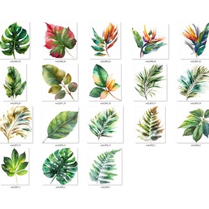 May include: A collection of 25 watercolor illustrations of various tropical leaves and flowers. The illustrations are in shades of green, red, yellow, and blue.