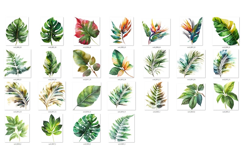 May include: A collection of 25 watercolor illustrations of various tropical leaves and flowers. The illustrations are in shades of green, red, yellow, and blue.