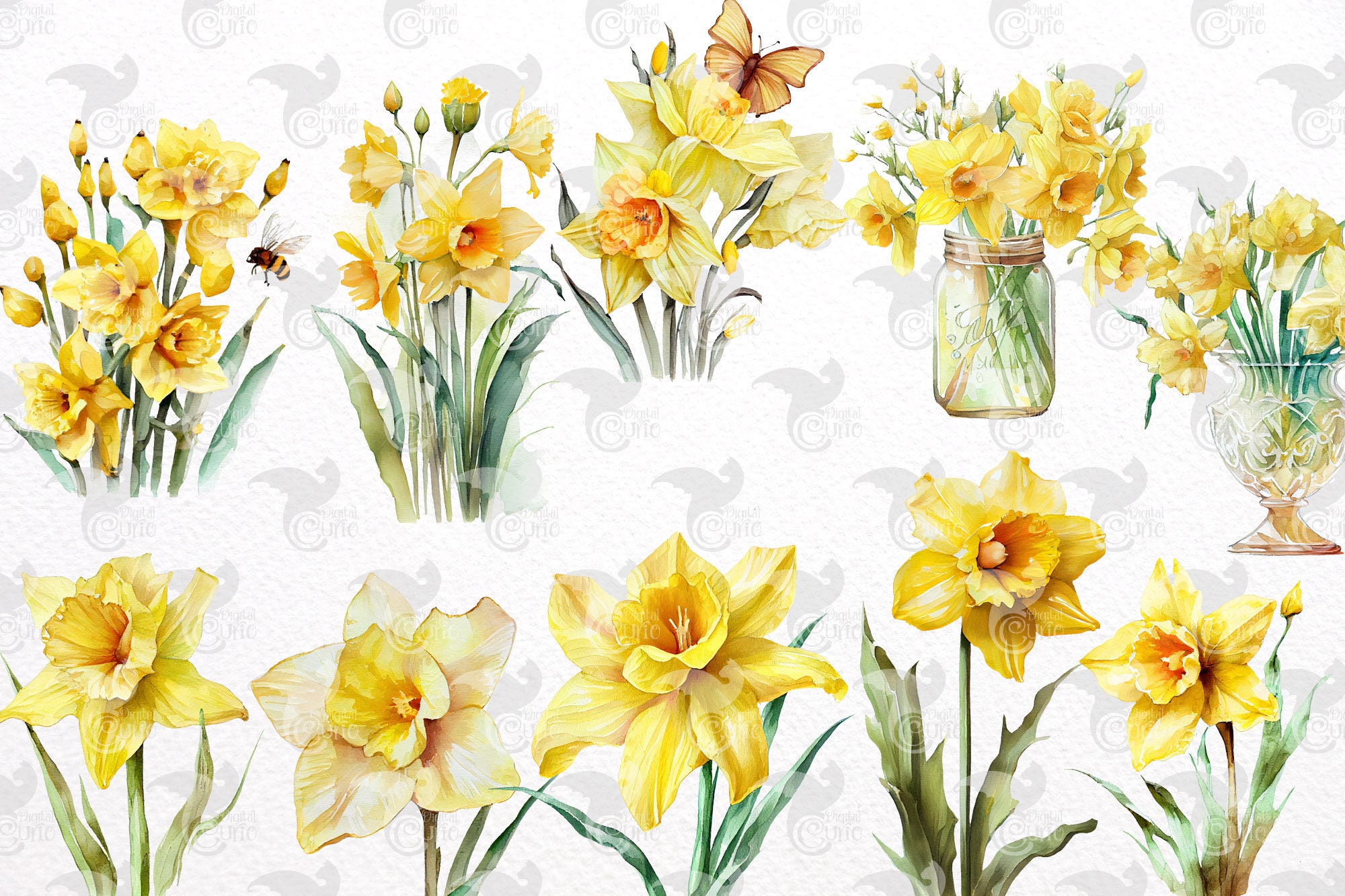 Watercolor Daffodil Clipart - Spring Flowers in PNG Format Instant ...