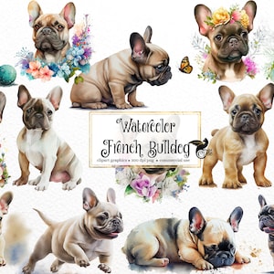 Aquarell Französische Bulldogge Clipart - süße Frenchie Hunde und Welpen PNG format sofortiger Download für kommerzielle Nutzung