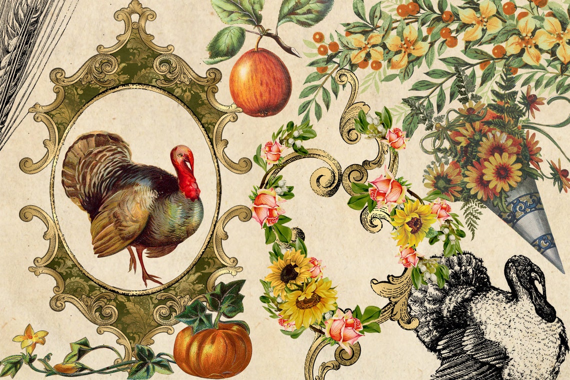 Vintage Thanksgiving Clipart, Antique Fall Graphics (PNG, Digital ...
