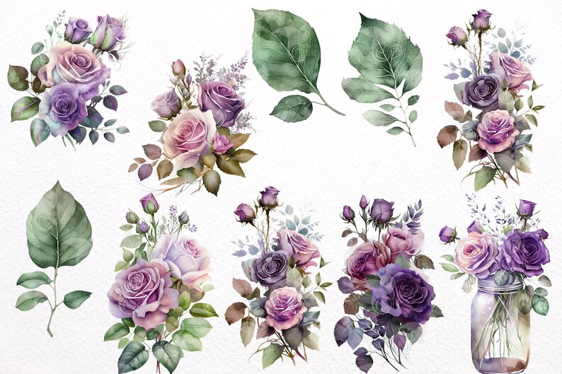 Watercolor Purple Roses Clipart – Floral PNG Graphics (commercial Use ...