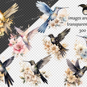 May include: A set of watercolour illustrations featuring hummingbirds and floral arrangements. The hummingbirds are depicted in various poses, with their wings spread and their beaks extended. The floral arrangements are composed of delicate flowers in shades of pink, white, and blue.