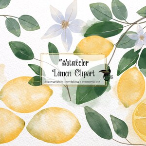Aquarell Zitronen Clip Art - PNG Format Zitrus Clipart sofortigen Download für kommerzielle Nutzung