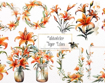 Watercolor Tiger Lily Clipart - spring floral wildflower wreaths and frames in PNG format instant download for commercial use