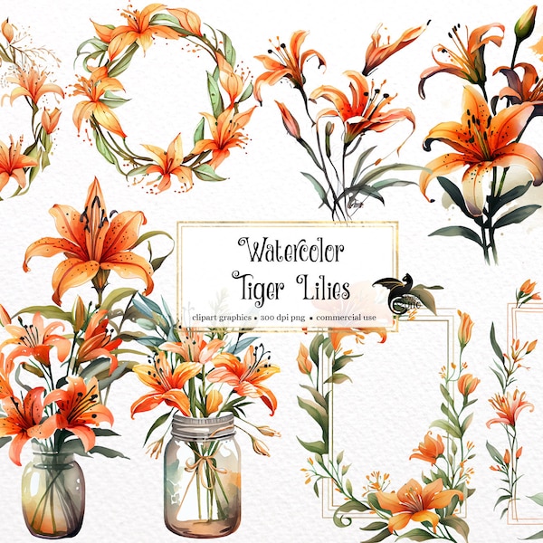 Watercolor Tiger Lily Clipart - spring floral wildflower wreaths and frames in PNG format instant download for commercial use