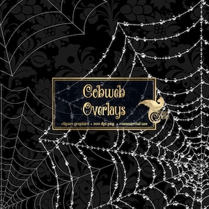 May include: A black background with a white spiderweb overlay. The spiderweb has small, white, shiny beads on it. The text "Cobweb Overlays" is in a gold frame.