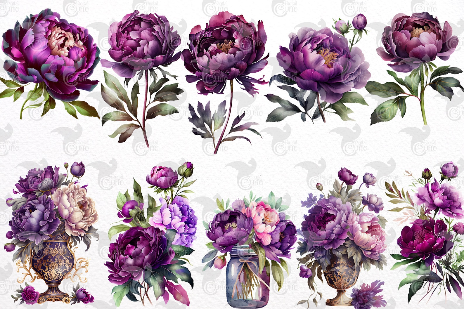 Watercolor Purple Peony Clipart - Peonies in PNG Format Instant ...