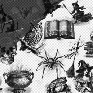 May include: Black and white illustrations of various Halloween themed objects, including a witch, a spider, a cauldron, a skull, a frog, a raven, an owl, a book, a broom, and a hat.