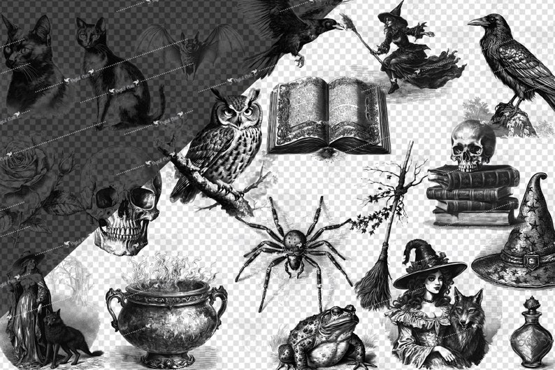 May include: Black and white illustrations of various Halloween themed objects, including a witch, a spider, a cauldron, a skull, a frog, a raven, an owl, a book, a broom, and a hat.