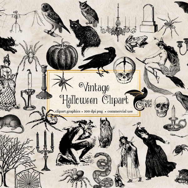 Vintage Halloween Clipart, gráficos antiguos de imágenes prediseñadas de Halloween, calaveras, murciélagos, búhos, arañas, brujas, descarga instantánea de efímera vintage