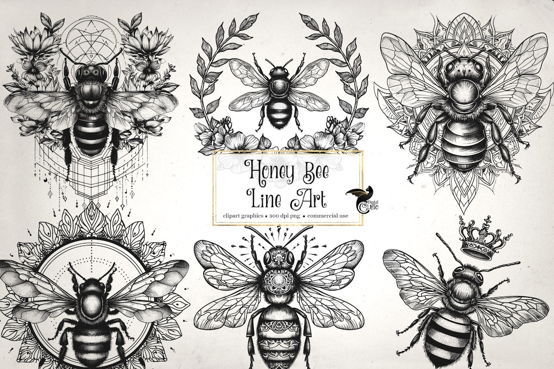 Honey Bee Line Art Clipart – Commercial Use Graphics (digital