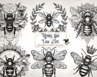 Honey Bee Line Art Clipart – Commercial Use Graphics (Digital Download)