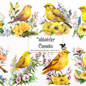 Watercolor Canary Clipart - cute spring birds with flowers and leaves in PNG format instant download for commercial use