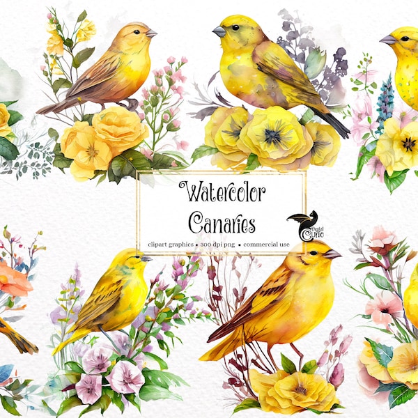 Watercolor Canary Clipart - cute spring birds with flowers and leaves in PNG format instant download for commercial use