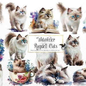 Acquerello Ragdoll Cats Clipart - simpatici gatti floreali e gattini con download istantaneo in formato PNG di fiori di campo per uso commerciale
