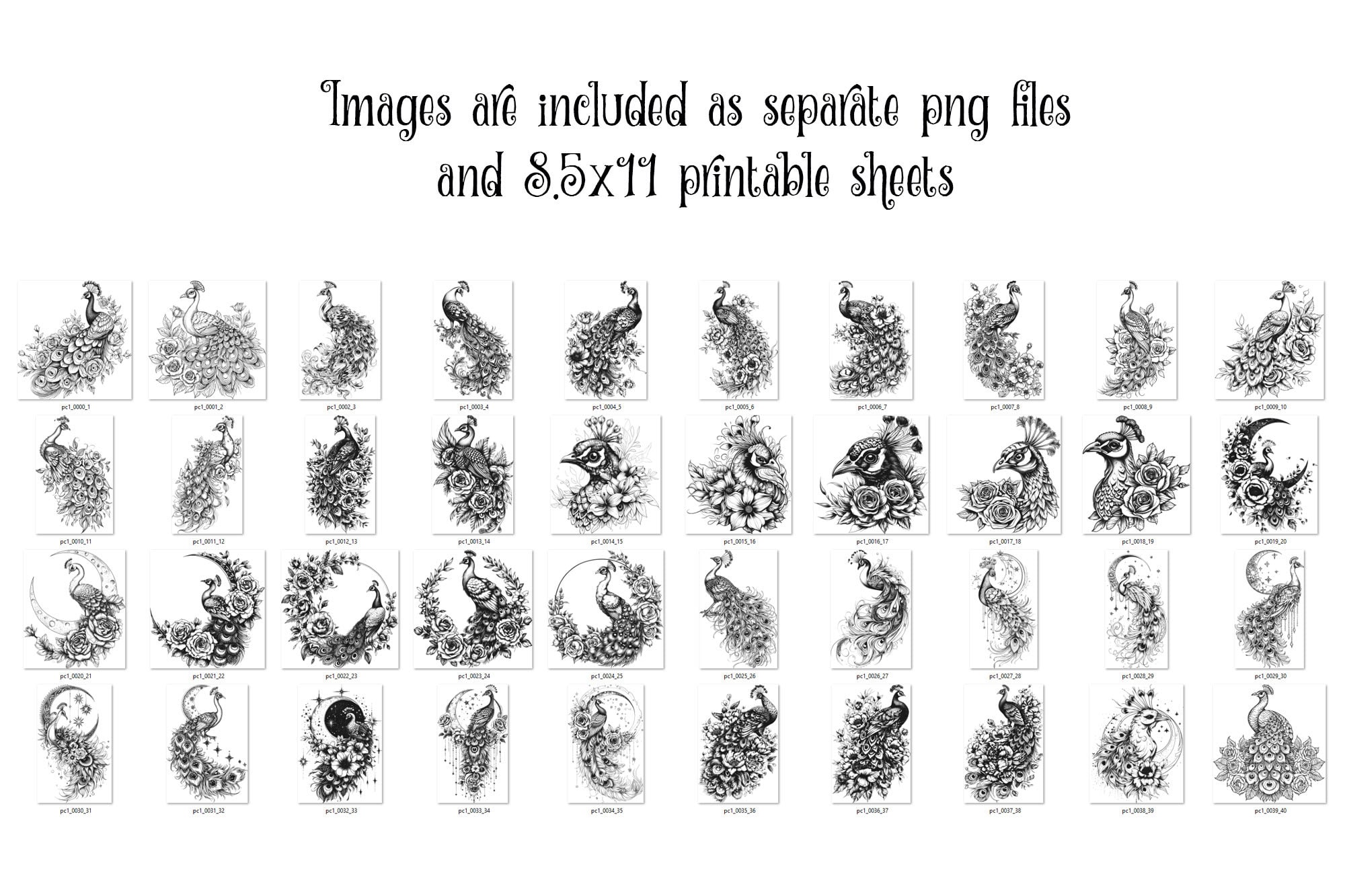 Peacock Line Art Clipart – Floral Designs, Collage Sheets (digital ...