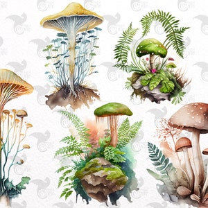 Op de afbeelding: Waterverfillustratie van verschillende paddenstoelen en varens. De paddenstoelen zijn in verschillende kleuren en vormen, waaronder bruin, groen en geel. De varens zijn groen en hebben delicate bladeren.