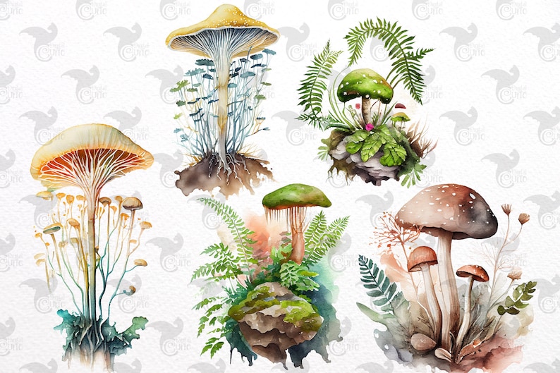 Op de afbeelding: Waterverfillustratie van verschillende paddenstoelen en varens. De paddenstoelen zijn in verschillende kleuren en vormen, waaronder bruin, groen en geel. De varens zijn groen en hebben delicate bladeren.