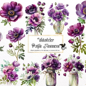Watercolor Purple Anemones Clipart - flowers and bouquets in PNG format instant download for commercial use