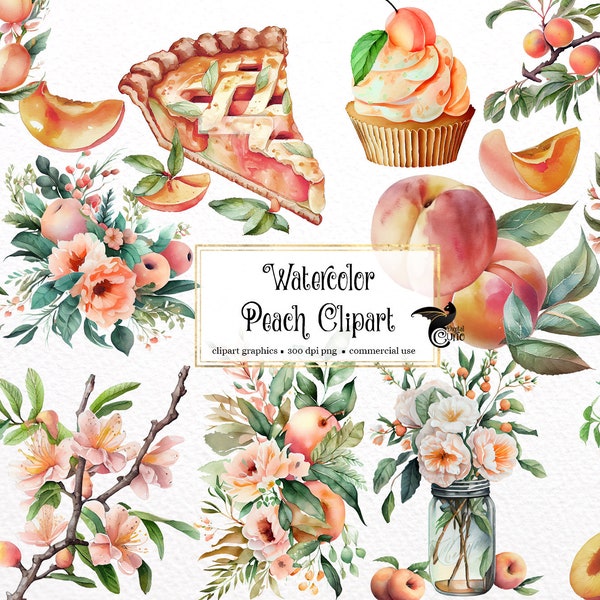 Watercolor Peaches Clipart - digital png peach graphics for instant download commercial use