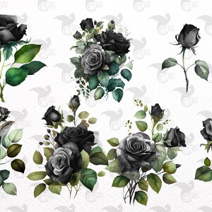 May include: Watercolor illustrations of black roses with green leaves. The image features various arrangements of the flowers, including bouquets and single stems. The roses have a dark, gothic aesthetic, with detailed petals and realistic foliage.