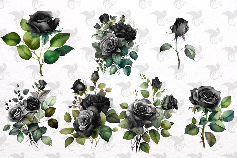 May include: Watercolor illustrations of black roses with green leaves. The image features various arrangements of the flowers, including bouquets and single stems. The roses have a dark, gothic aesthetic, with detailed petals and realistic foliage.