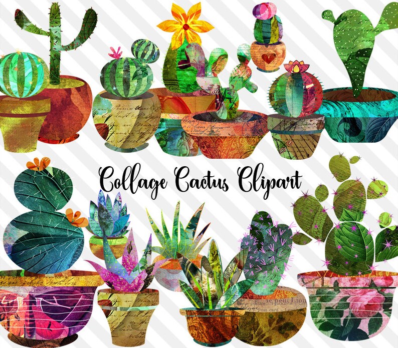 Peut inclure: Une collection de cliparts de cactus en collage color&eacute;s, de formes et tailles vari&eacute;es, chacun dans des pots d&eacute;coratifs. L'image pr&eacute;sente des cactus verts, roses et oranges avec le texte "Collage Cactus Clipart" en &eacute;criture cursive.
